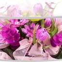 NOKI Clear Acrylic Cake Stand: 11 Inch Cylinder Hollow Risers for Display, Large Round Cake Stands, Cupcake Display Stand for Wedding, Birthday, and Parties (Box Only)