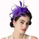 Hair Clip And Hair Band, Purple, X004OE9DTN