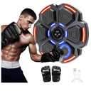Music Boxing Punching Machine for Adults - 9 Modes & 9 Speeds, Bluetooth Music Punching Machine with Gloves, Electronic LED Boxing Training Equipment Wall Mounted,Home Indoor Workout Trainer Equipment