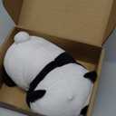 SQEQE Weighted Panda Plush, Weighted Panda Stuffed Animal, Cute Plushies Soft Bear Pillow Toy Gift for Kids Adults 9.8 Inch, 0.8 Lbs