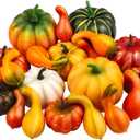 Elcoho 20 Pieces Realistic Artificial Pumpkins Fall Harvest Lifelike Pumpkins and Gourds Set for Fall Halloween Thanksgiving Tabletop Decoration, Assorted Sizes and Styles