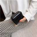 Trendy Crocodile Patterned PU Card Holder, Zippered Multi-slot Small Purse for Men & Women (Black)