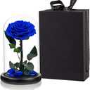 Preserved Roses Handmade Rose in Glass Dome, Preserved Flowers Never Withered Romantic Gifts for Her, Mother's Day, Birthday Gifts for Women (9 inch, Blue)