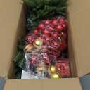 MARTINE MALL 3FT Realistic Norfolk Pine Tree Small Christmas Tree with 50 LED String Light, Full Mini Christmas Tree Artificial Tabletop Xmas Trees with Red Hanging Ball Ornaments for Table Holiday