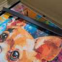 Chihuahua Colorful Abstract Framed Wall Art Print Poster, Dog Pet Lover Picture Painting Artwork Bedroom Living Room Office Dining Room 150F (Chihuahua Colorful Abstract, 20" L x 16" W, Black Frame)