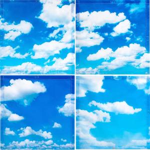 VIHOSE 4 Pack Fluorescent Light Covers Magnetic for Ceiling Lights 2 x 2 ft Office Classroom Light Covers Filters for School Home Hospital Decorations, 4 Styles(Sky)