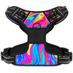 Rnivvi No Pull Dog Harness, Cute Reflective Large Sized Puppy Harness, Adjustable Soft Padded Vest for Large Dogs, Heavy Duty Pet Vest with Easy Control Handle for Walking Training, Rainbow Art, L