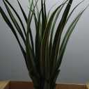 39.4 Inch Artificial Agave Plant, Realistic Faux Spiked Agave Tree with Lifelike Leaves and Moss in White Pot, Indoor Outdoor Floor Plant for Home Office Patio Porch Decor (1pack-3.2ft)