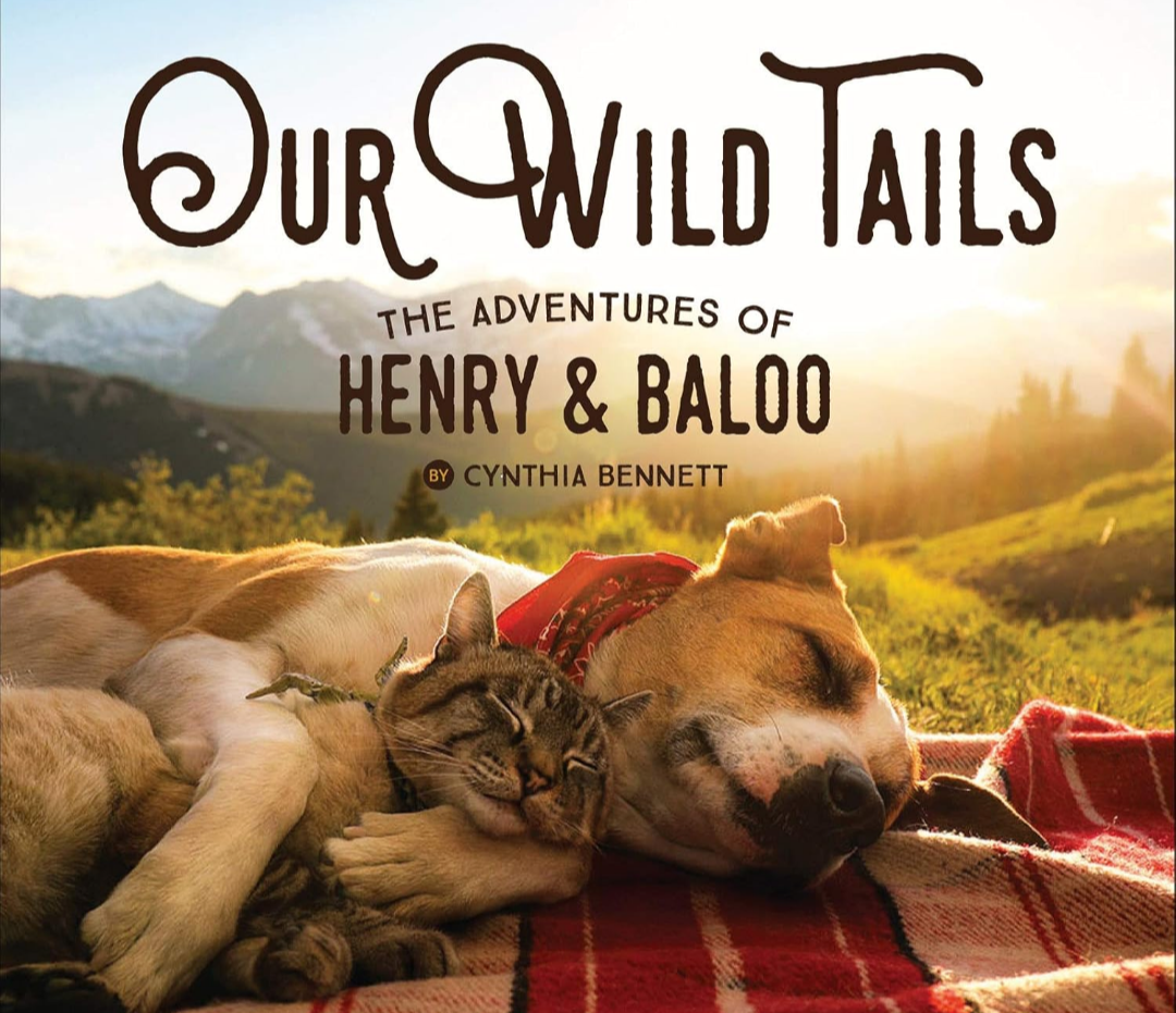 Our Wild Tails: The Adventures of Henry & Baloo, Book