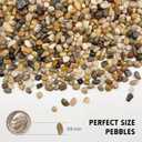 RITOLLO 6 lb Aquarium Gravel, 3/8 in Polished Fish Tank Rocks for Aquarium Decor, River Rocks for Indoor Plants Succulents, Decorative Stones for Outdoor Garden Decor (Mixed Color)