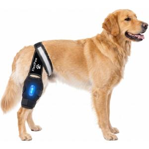 Dog Knee Brace Rear Leg Support with Freezable Gel Pack, Removable Stabilizer Rods, Reflective Straps, for ACL/CCL Injury, Arthritis & Post-Surgery Recovery (Medium)
