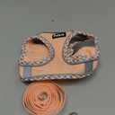 Petank Dog Harness for Small Medium Dogs No Pull, Puppy Harness and Leash Set, Step in Dog Harness for Walking, Running, Training, Small Dog Vest(Pink, XS)