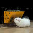 GuineaLoft Hay Feeder (Yellow) - Ultimate Hay Feeder for Small Pets Like Guinea Pigs, Rabbits & Chinchillas. Designed & Made by Seasoned Owners Who Tried Everything Out There - GuineaLoft Exclusive