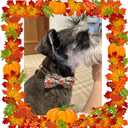 Unique style paws 1PCS Dog Bandanas Washable Cotton Square Bibs Sarf, Adjustable Dog Kerchief for Small Medium Large Dogs and Cats-S