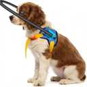 Blind Dog Harness with Halo,Adjustable Guide & Confidence Building Vest, Anti-Collision Safety Device,Protective Collar for Confidence and Safety (12-16In)