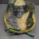 Kathfly Turtle Butt Pad Snowboarding Cute Protection Hip Butt Pad Protective Gear for Skiing Tortoise Snowboarding Padded Turtle Hip Cushion Protection for Kids Adults Skating (Green)