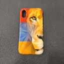 iPhone X/XS Multicolored Geometric Abstract Art Lioness Case