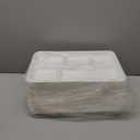 Vplus 100% Compostable 5 Compartment Paper Plates, 100 Pack, 12.5 x 8.6 inch Disposable School Lunch Trays, Eco-Friendly Bagasse Plates for Buffet, and Party