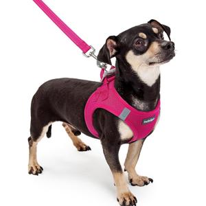rabbitgoo Dog Harness Small Sized and Leash Set, Step in Soft Light Puppy Vest, Breathable Mesh Pet Harness, Reflective for Safe Easy Walking, Rosa Red XXXS