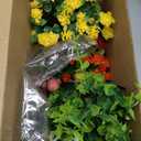 Riceshoot 6 Sets Spring Easter Table Centerpiece Decor 12 Easter Artificial Flower Picks with 6 Metal Pots 12 Eucalyptus Egg Stems Twig Branches Sprays with Berries for Home Arrangement(Mixed Color)