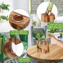 Glass Plant Propagation Station for Hydroponics