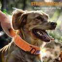 HYDEME Tactical Dog Collar, Alpine Loop Adjustable Military Training Nylon Dog Collars with Handle and Reflective for Small Medium Large Dogs, with Airtags Protective Case & Patches.(L,Orange)