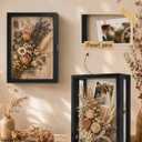 Deep Shadow Box 11x15 Wooden Display Case, 3 Sided Acrylic, Wall Mount