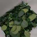Dolicer 2 Packs 6FT Artificial Eucalyptus Garland, Faux Greenery Garland Hanging Fake Silver Dollar Eucalyptus Leaves Vines for Wedding Backdrop Arch Table Wall Party Home Decor