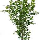 Artificial Ficus Tree with Green Leaves, 6ft Tall, Indoor Plant with Decorative Beige Planter
