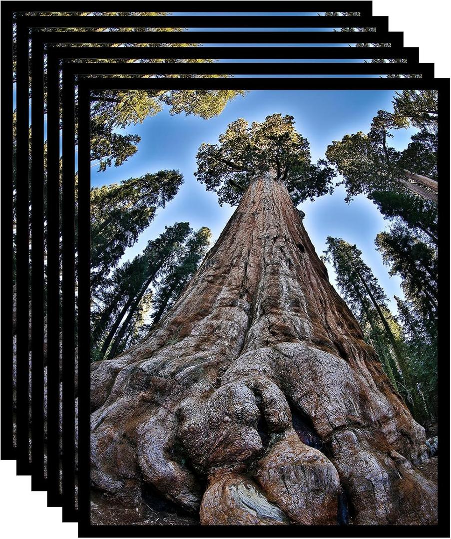 11x14 Picture Frame Black Photo Frames Display for Wall and Tabletop, Set of 6