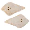 Karma, Shell Salt and Pepper Shakers, Beach Coastal Décor Shakers Set of 2, White