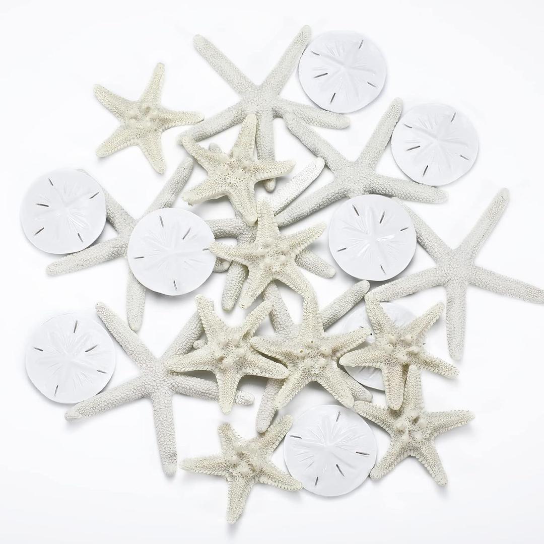 Jetec 24 Pcs Starfish Assorted Decor 3.14 Inch Starfish for Crafts Star Fish Shells Decorations Sand Dollar Ornament White Resin Star Fish Decorations for Wedding Beach Party Decor DIY Craft Supplies Jetec 24 Pcs Starfish Assorted Decor 3.14 Inch Starfish for Crafts Star Fish Shells Decorations Sand Dollar Ornament White Resin Star Fish Decorations for Wedding Beach Party Decor DIY Craft Supplies