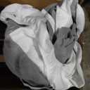 Box Spring, Metal Frame Mattress Foundation with Fabric Cover, Easy Assembly, Noise-Free (7 Inch, Queen)