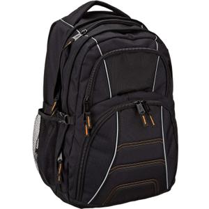 Amazon Basics Padded Laptop Backpack with Water Bottle Pockets, Travel Work Bag with Compartments, Fits Up to 17-Inch Laptops, Black