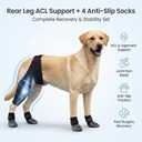 Acaine Dog Rear Leg Support Brace with Anti-Slip Socks – Adjustable for Joint Pain Relief and Recovery, Improves Mobility for Walking & Outdoor Use, Durable Black Size L (ACL Support)
