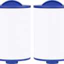 Spa Filter Compatible with x268546 Filter, 6CH-352, pas40-f2m, PMA-r1, FC-0318, 06-0055-12, 06-0055, 2 Pack