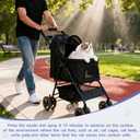 2 x Cat Calming Spray, Pheromone Diffuser Spray for Stress Relief, Reduce Scratching & Spraying, Travel and Home Use (1 PCS)