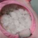 Cuddle Barn - Jiggly Wigglies Piggy | Animated Interactive Stuffed Animal Pig Plush Toy Game Plays Pop Goes The Weasel and Comes with Cards, 11 inches