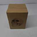 READAEER Resin Skull, Human Head Model for Home Decoration, Halloween Statue, Skull Model for Bookshelf and Desktop (White)