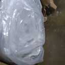 Zinus 12 Inch Queen Green Tea Memory Foam Mattress [New Version], Fiberglass Free, Medium Firm Feel, Zoned Pressure Relief, Certified Safe Foams & Fabric, Mattress in A Box (White)