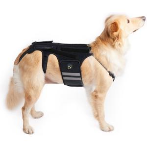 Coodeo Dog Back Brace for Dogs Arthritis, Pet Back Bracer for IVDD, Back Protector Helps Pain Relief, Surgical Recovery and Rehabilitation, Dogs Back Disease Prevention. (Black,Medium)