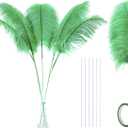 Ballinger Green Large Ostrich Feathers - 12pcs 24-26inch Feathers Making Kit Ostrich Feathers Bulk for Vase,Wedding Centerpieces,Mardi Gras Party and Home Decor (24inch Feathers Kit, Grenn)