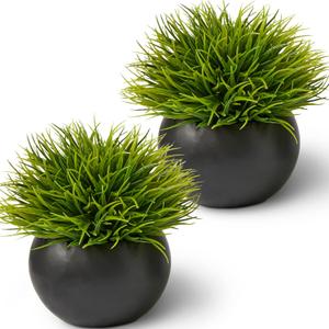 SEEKO Succulents Artificial Plants (2 Pack) Indoor Fake Desk Plants for Shelf Decor (2 pk, Black)