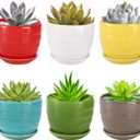 Elsjoy Set of 6 Ceramic Succulents Planter with Drainage Tray, 4.3 Inch Decorative Flower Pots Saucer Small Planter Pot for House Plants, Indoor Outdoor Plants, 6 Colors