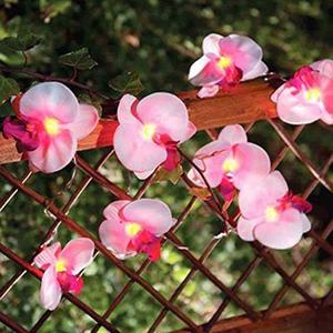 Solar Garden Lights Outdoor, Waterproof Flowers String Light, 12.5ft 10 LED Phalaenopsis Orchid Patio Light for Garden Yard Tree Christmas Wedding Party Decor