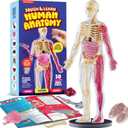 Dan&Darci Human Anatomy Squishy Body Model - Science Kits for Kids Ages 4-8 - STEM Toys for 4 5 6 7 8 Year Old Boy Birthday Gift - Learning Educational Toys for Ages 5-7 Boys Gifts - Skeleton Parts