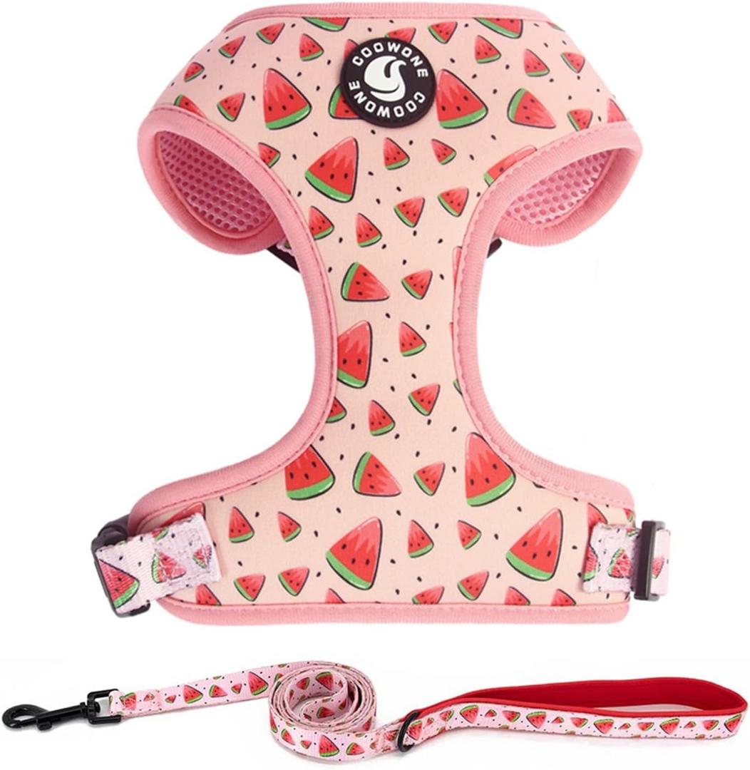 Dog Harness and Leash Set, Adjustable Dog Harness, Dog Leash, No Pull No Choke Puppy Harnesses for Walking Training for Small Medium Pet (M(chest 15.7 - 22.1", Neck 12 - 15"), Watermelon)