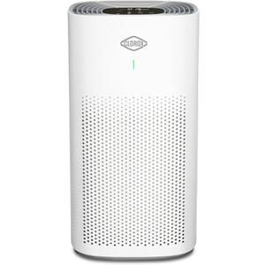 Clorox HEPA Air Purifiers for Home, True HEPA Filter, Large Rooms Up to 1,500 Sq Ft, Removes 99.9% of Mold, Viruses, Wildfire Smoke, Allergens, Pet Allergies, Dust, AUTO Mode, Whisper Quiet
