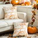 DUZXLCQ Fall Pillow Covers 18x18 inch Set of 2 White Pumpkins Thanksgiving Autumn Fall Decorative Throw Pillow Covers Farmhouse Decor Cushion Case Harvest Decorations for Couch Sofa Bed Home Outdoor