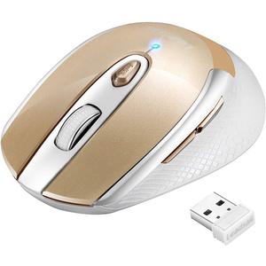 LeadsaiL Wireless Mouse for Laptop, 2.4G Portable Slim Cordless Computer Mouse Less Noise, 6 Buttons, for Windows 10/8/7/Mac/MacBook Pro/Air/HP/Dell/Lenovo/Acer (Gold)
